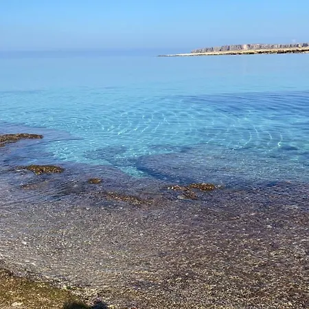 Savoia