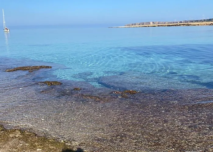 Savoia